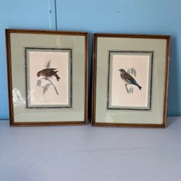 Beautiful Pair Of Vintage Framed Antique Prippet House Bird Prints By Rev. Francis Morris (BR)