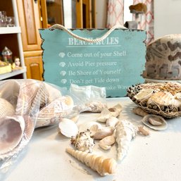 BEACH RULES Wooden Sign With Assorted Seashells (LR)