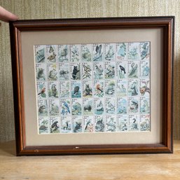 Framed Wildlife Postage Stamp Sheet (Office)