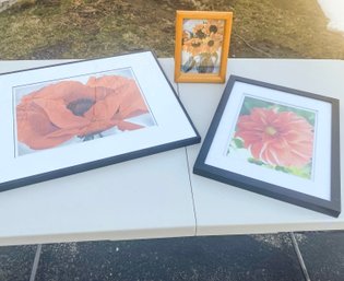 3 Framed Prints With Pretty Sunflowers, Georgia O'Keefe Red Poppy & Dahlia(?) (Garage)