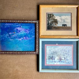 Set Of Three Framed Art Prints, Inc Artist Signed Photography By Patricia Correll