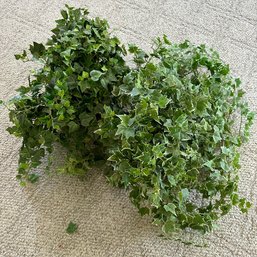 Pair Of Faux Ivy In Footed Planters (Yoga Room)