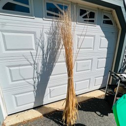 Decorative Tall Grass