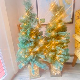 Pair Of Small Lit Up Faux Christmas Trees (62338) (Entry)