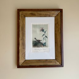 Framed Original Hand Colored Lithograph AUDUBON In Rustic Wood Frame (Front Room)