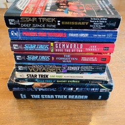 Assorted Star Trek Fantasy Books (JS)