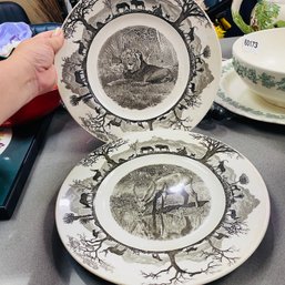 Pair Of Wedgwood Plates: Lion & Waterbuck From Kruger National Park (Kitchen)