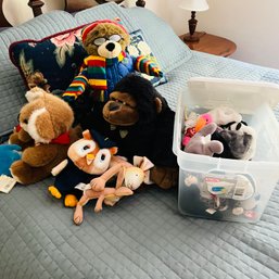 Assortment Of Stuffed Animals And Beanie Babies (Bedroom 1)