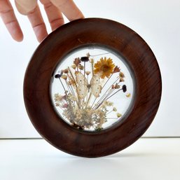 Vintage Preserved BUTTERFLY SPECIMEN 'White Peacock' & Dried Flowers, Handmade In BRAZIL, Glass Bubble Frame
