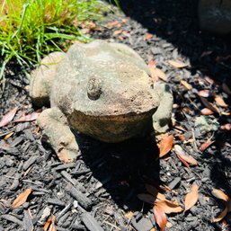 Frog Garden Statue No. 5 (under Tree)