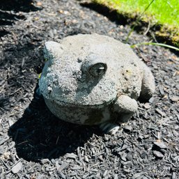 Frog Garden Statue No. 7