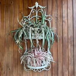 Vintage Metal Wall Planter With Faux Spider Plants (LR)