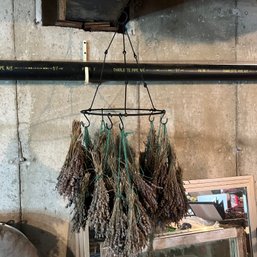 Dried Lavendar On Hanging Metal Rack (basement)
