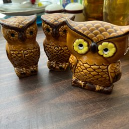 Vintage Owl Shakers And Napkin Holder (Sun Room)