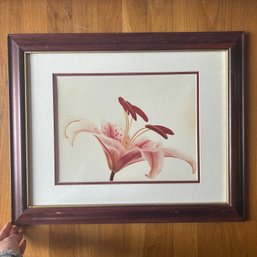 Artist Signed Color Art Print, Framed (DJC)