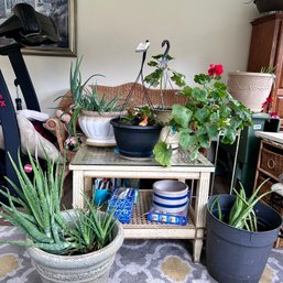 FIVE LIVE PLANTS! Including One Ceramic Glazed Pot, And Several Resin Pots (porch)