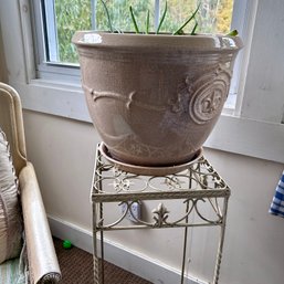 LIVE PLANT In Gorgeous Ceramic Pot With Metal Plant Stand (porch) 41360