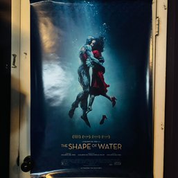 'Shape Of Water' Double Sheet Movie Poster No. 1 (CN)
