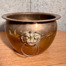 Brass Lion Head Planter (Bsmt)