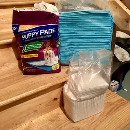 Puppy Pads (Bsmt)