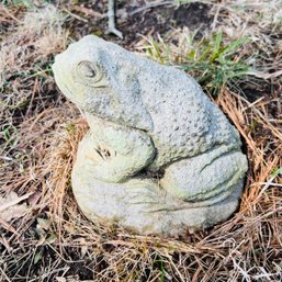 Cement Frog Garden Statue (Outside)