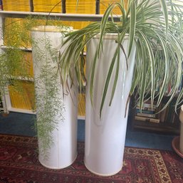 Pair Of Live Plants In Tall Plastic Planters (Attic 3)