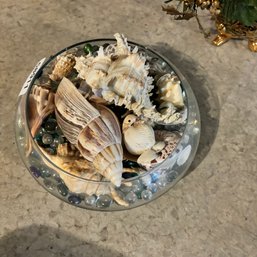 Decroative Glass Bowl With Seashells (bmt)