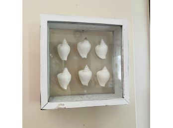 Shadow Box With Shells (Room 1)