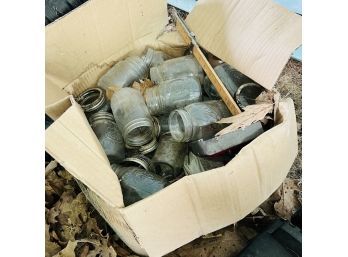 Box Lot Of Canning Jars (Shed 1)