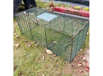 Large Animal Trap (Outside)