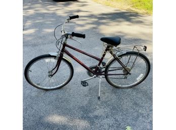 Vintage PhysioFit Free Spirit Bicycle In Used Condition (center Zone)