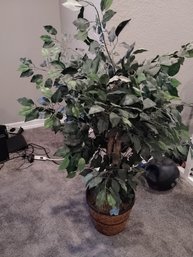 Artificial House Plant, Tree 1 Of 2