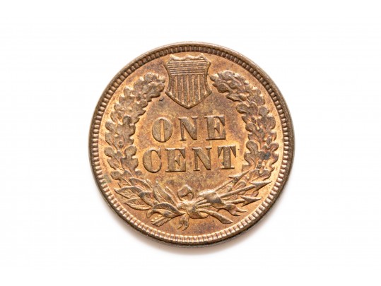 1895 Indian Head Cent