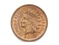 1895 Indian Head Cent