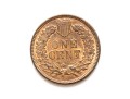 1895 Indian Head Cent