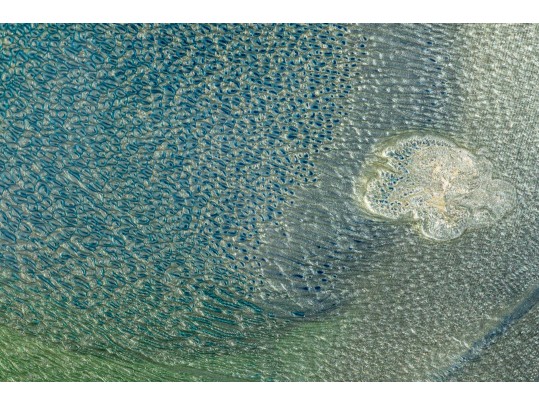 Mesmerizing Elan Vital (American) Aerospace Enamel Painting “Vetro Avia” #1158