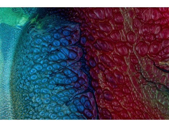 Mesmerizing Elan Vital (American) Aerospace Enamel Painting “Vetro Avia” #1158