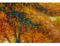 Radiant Mary M. Stroud Painting Of Fort Hunt Park In The Fall  