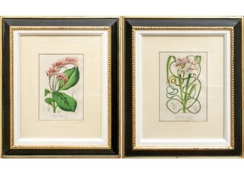 Black Rock Galleries