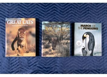 Black Rock Galleries