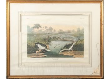 Black Rock Galleries