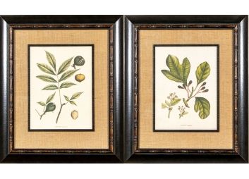 Black Rock Galleries