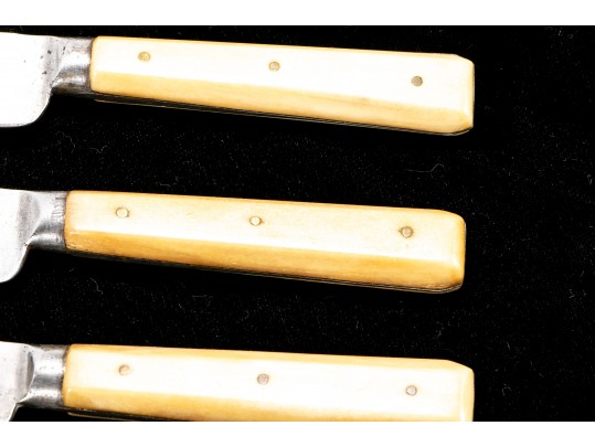 19th C. Wm. Brooks Sheffield Bone Handled Fish Set