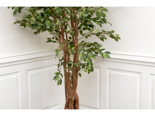 Tall Faux Potted Ficus Tree