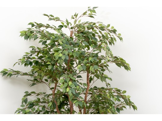 Tall Faux Potted Ficus Tree