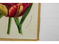 Set Of Six Finely Framed Botanical Prints, #B6