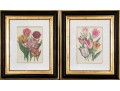 Set Of Six Finely Framed Botanical Prints, #B6