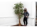 Tall Faux Potted Ficus Tree