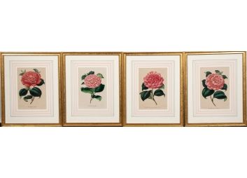 Black Rock Galleries