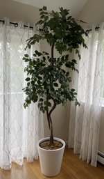 6.5FT FAUX TREE WITH WHITE PLANTER POT
